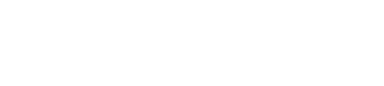 OpenAI API
