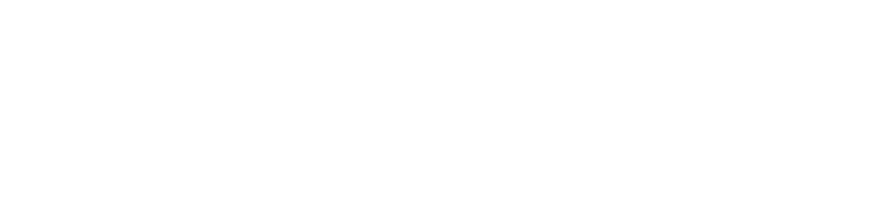 OpenAI API